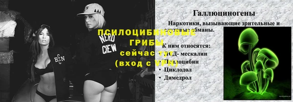 прущая мука Богданович