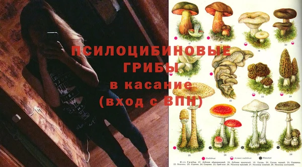 прущие крисы Богородск