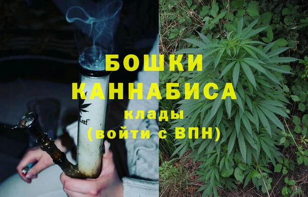прущая мука Богданович