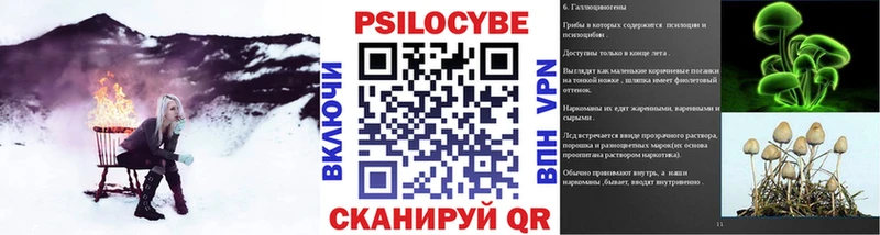 наркошоп  Городище  МЕГА вход  Галлюциногенные грибы MAGIC MUSHROOMS 